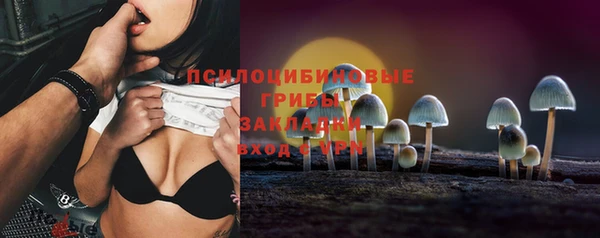прущая мука Инта