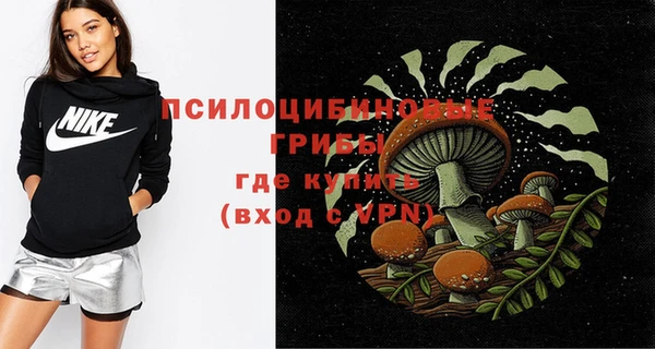 прущая мука Инта