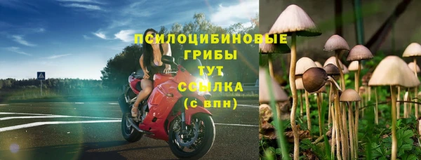 COCAINE Инсар