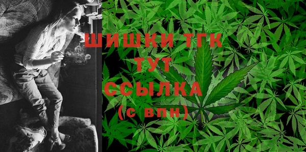 твердый Иннополис