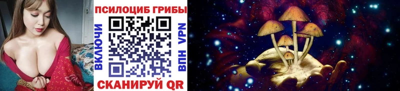Галлюциногенные грибы GOLDEN TEACHER  Купить  Краснозаводск 