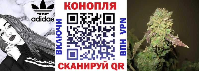 Купить закладки  Краснозаводск  Конопля MAZAR 
